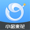 小金来花