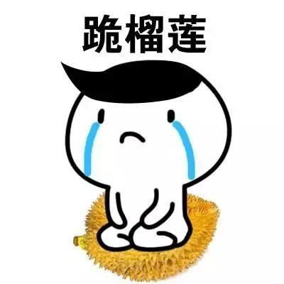 跪表情包认错 跪榴莲表情包图片大全