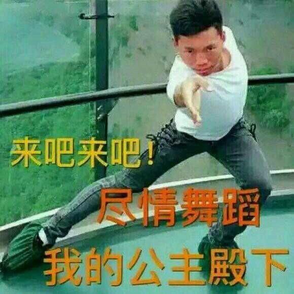 来吧来吧尽情舞蹈我的公主殿下表情包