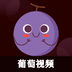 ​葡萄视频