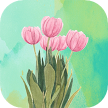 高清氧气壁纸app