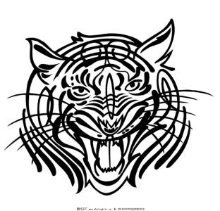 猛虎app破解版