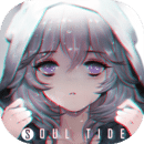 灵魂潮汐b服