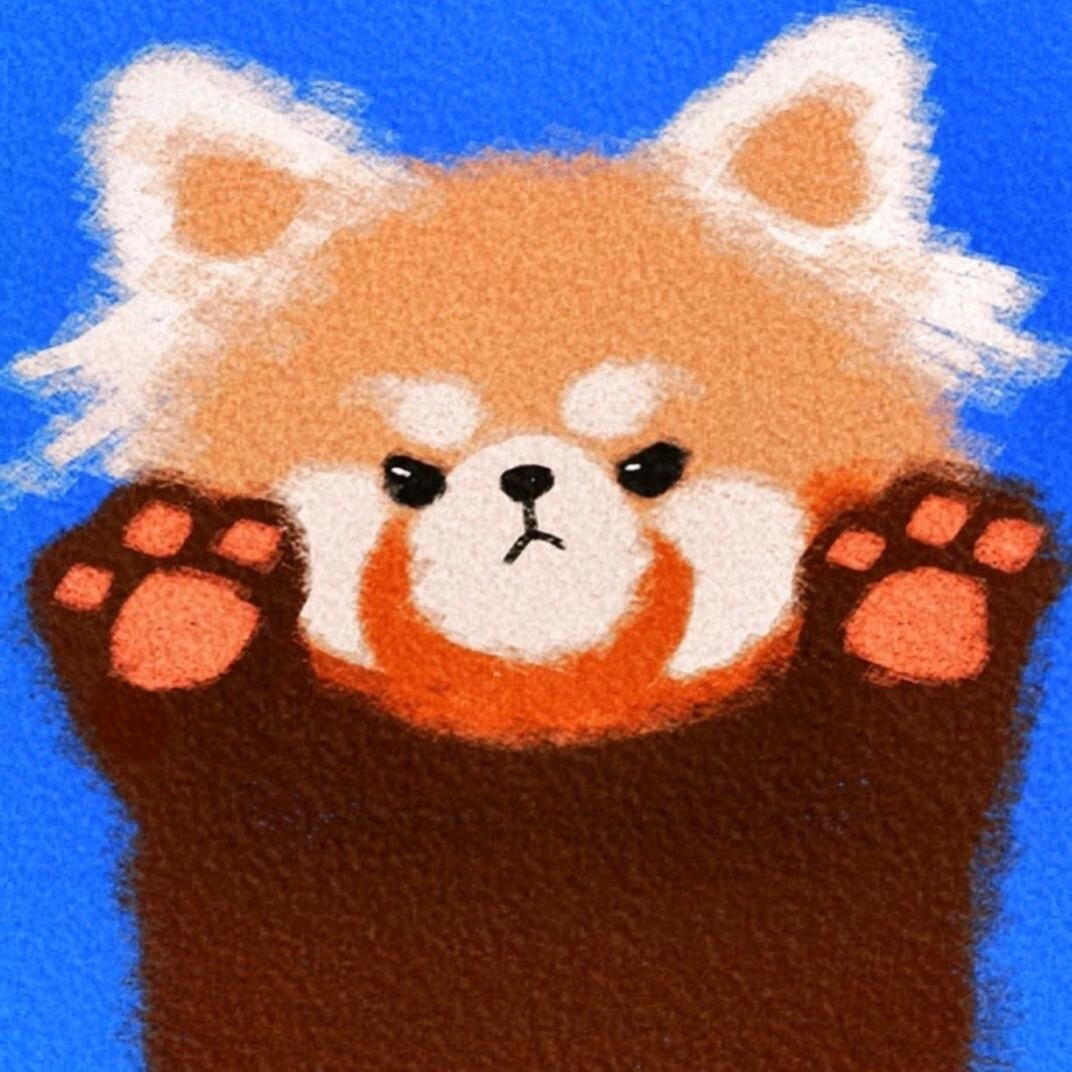 小熊猫app