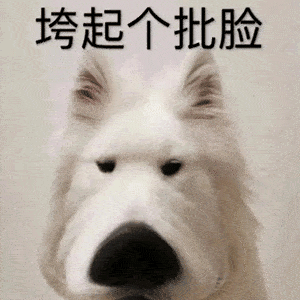 16bc02adf027410f84e0ebbea7a4aa64.gif
